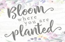 Bloom Where You Are Planted Tiny Block