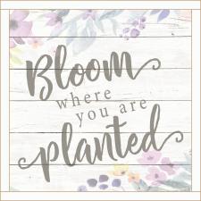 Bloom Where You Are Planted Framed Wall Sign