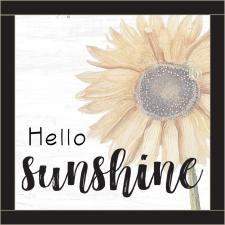 Hello Sunshine Framed Wall Sign