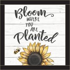 (SUNFLOWER) Bloom Where You Are Planted Framed Wall Sign