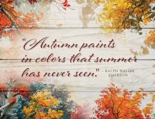 Autumn paints in colors Fun Block